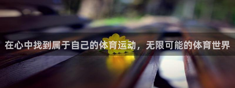 3377体育app下载安装：在心中找到属于自己的体育运动，无限可能的体育世界
