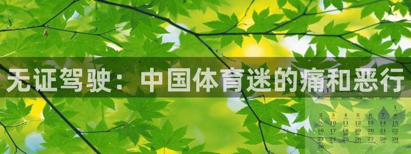 3377体育中国官方网站入口：无证驾驶：中国体育迷的痛和恶行