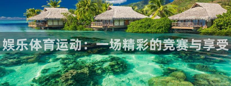 3377体育app下载安装：娱乐体育运动：一场精彩的竞赛与享受