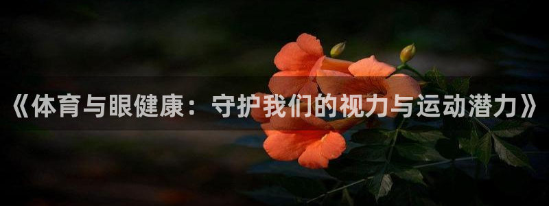 3377体育是正规的吗：《体育与眼健康：守护我们的视力与运动潜力》