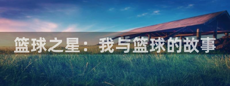 3377体育在线：篮球之星：我与篮球的故事