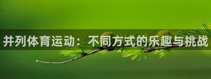 3377体育是正规的吗：并列体育运动：不同方式的乐趣与挑战