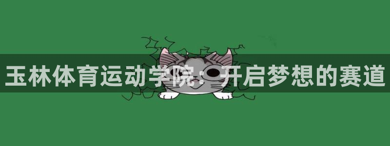 3377体育官网入口网页版