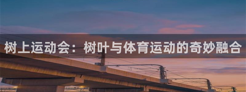 3377体育官网下载