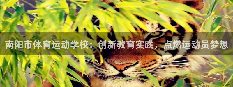 3377体育全网：南阳市体育运动学校：创新教育实践，点燃运动员梦想