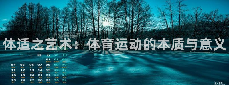 3377体育是正规平台吗：体适之艺术：体育运动的本质与意义