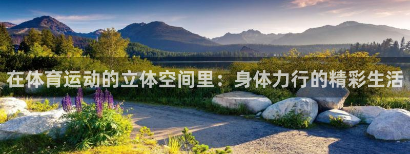 3377体育是正规的吗：在体育运动的立体空间里：身体力行的精彩生活