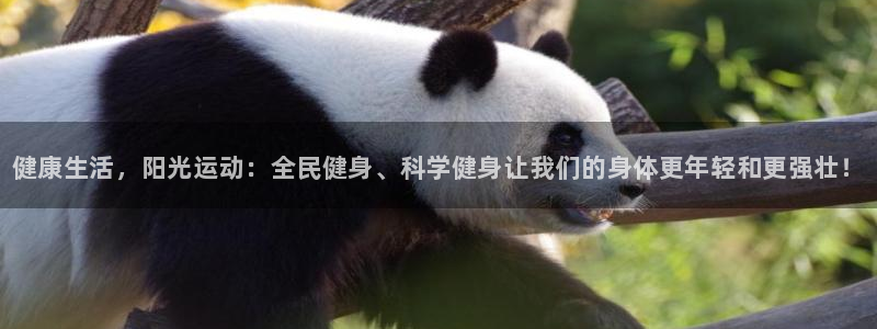 3377体育全网：健康生活，阳光运动：全民健身、科学健身让我们的身体更年轻和更强壮！