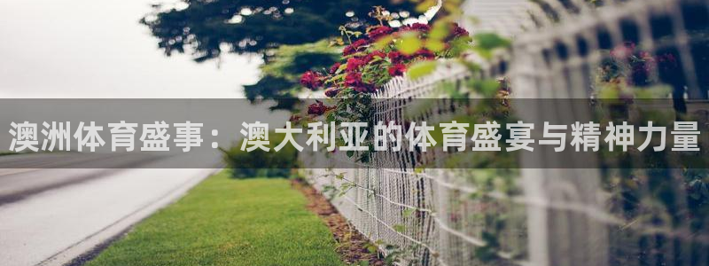 3377体育官网下载：澳洲体育盛事：澳大利亚的体育盛宴与精神力量