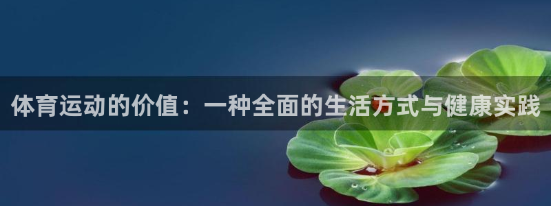 3377体育全网：体育运动的价值：一种全面的生活方式与健康实践