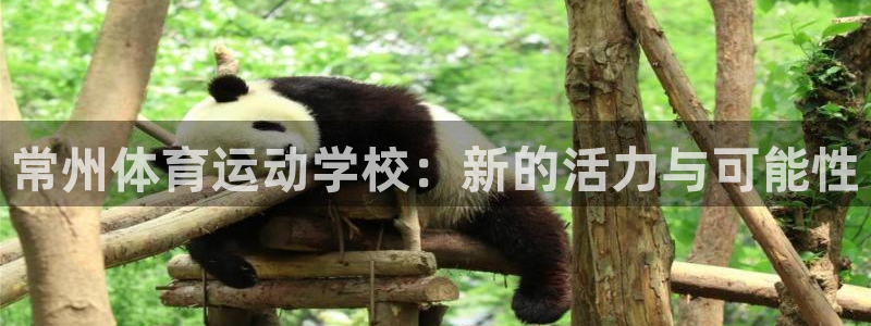 3377体育网页登录入口：常州体育运动学校：新的活力与可能性