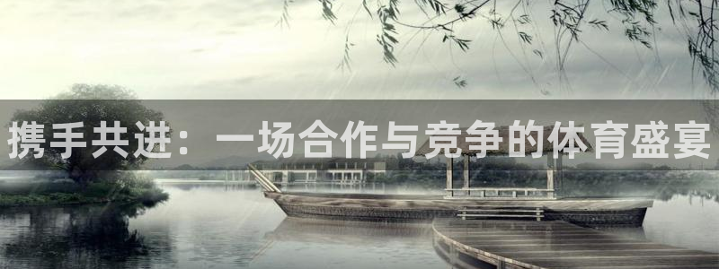 3377体育平台：携手共进：一场合作与竞争的体育盛宴