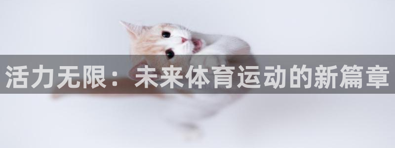 3377体育全网：活力无限：未来体育运动的新篇章