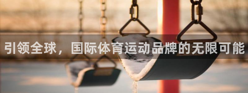 3377体育com：引领全球，国际体育运动品牌的无限可能
