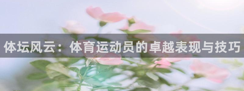 3377体育官网：体坛风云：体育运动员的卓越表现与技巧