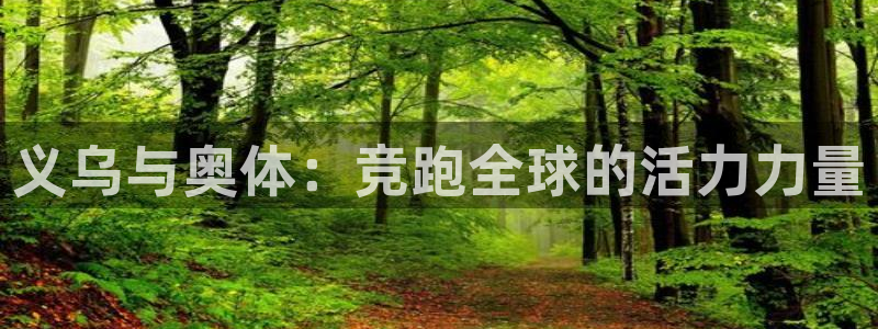 3377体育官方app下载：义乌与奥体：竞跑全球的活力力量