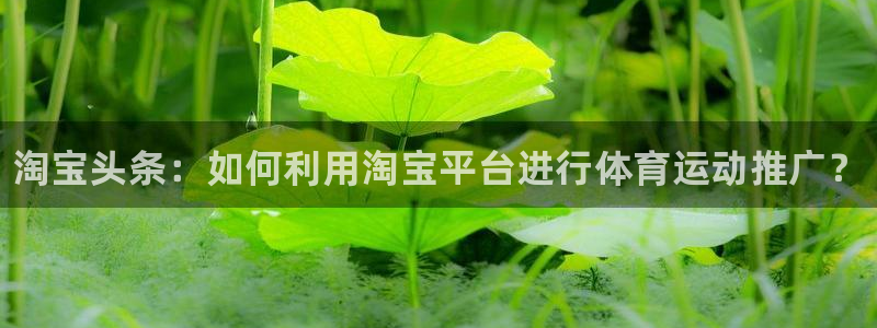 3377体育在线：淘宝头条：如何利用淘宝平台进行体育运动推广？
