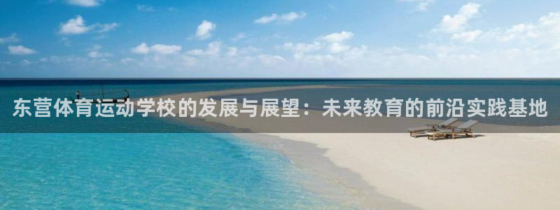 3377体育官网：东营体育运动学校的发展与展望：未来教育的前沿实践基地
