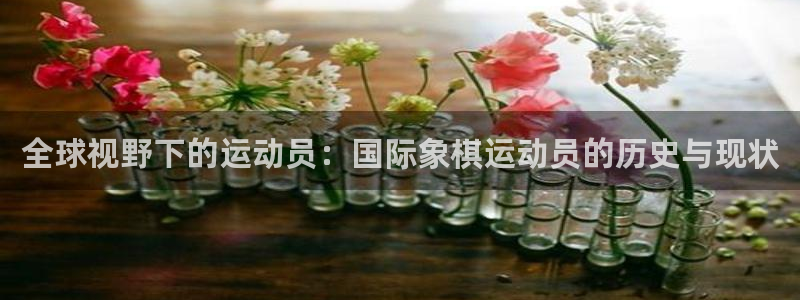 3377体育官网入口网页版：全球视野下的运动员：国际象棋运动员的历史与现状
