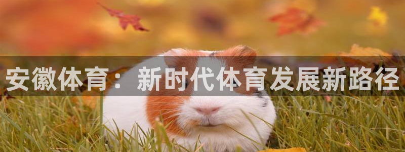3377体育全网：安徽体育：新时代体育发展新路径
