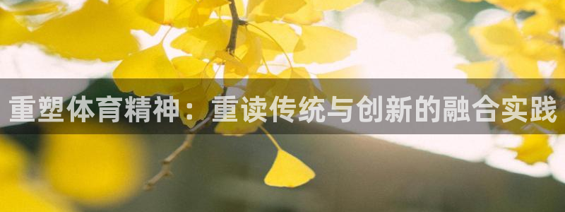 3377体育：重塑体育精神：重读传统与创新的融合实践