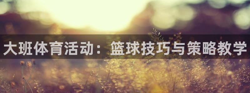 3377体育靠谱吗：大班体育活动：篮球技巧与策略教学