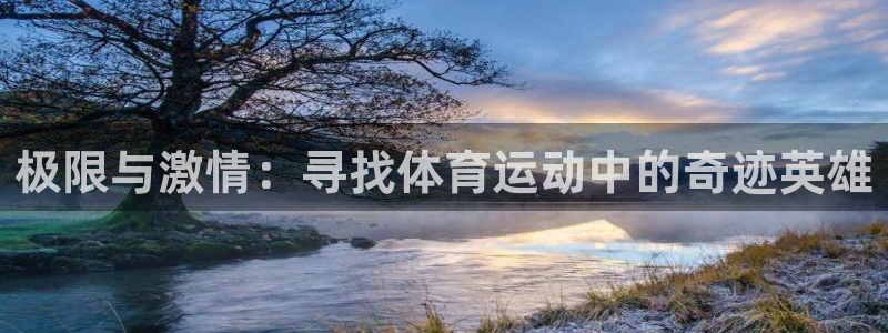 3377体育：极限与激情：寻找体育运动中的奇迹英雄