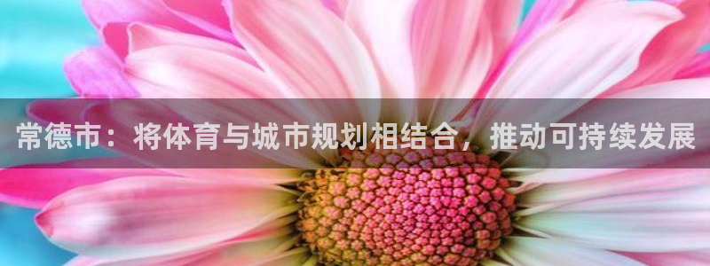 3377体育(中国)官方网站