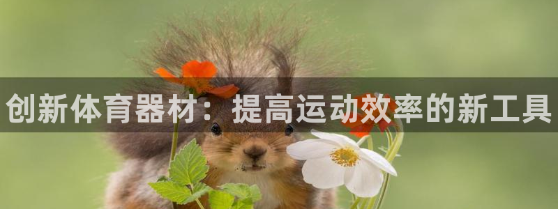 3377体育中国官方网站入口