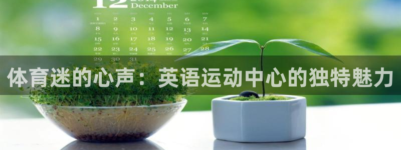3377体育官网入口下载最新