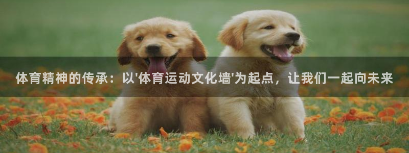 3377体育官网下载