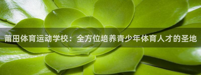 3377体育官网入口网页版