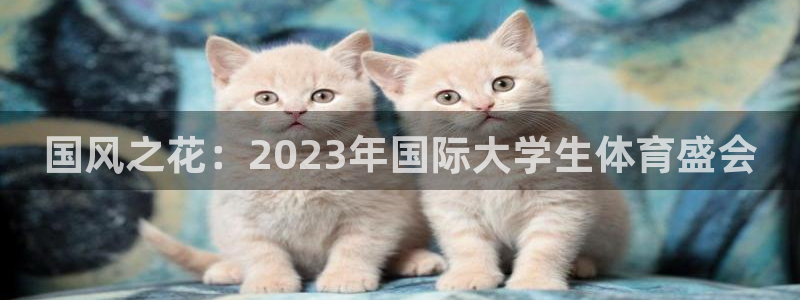 3377体育是正规的吗