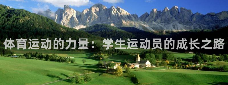 3377体育app下载安装