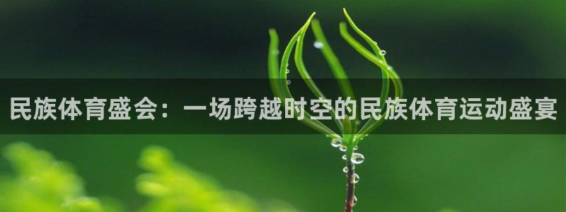 3377体育官网
