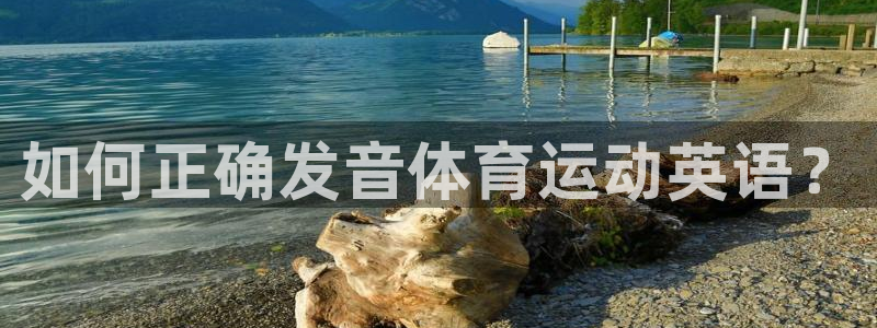 3377体育网页登录入口