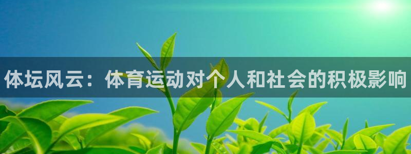 3377体育com