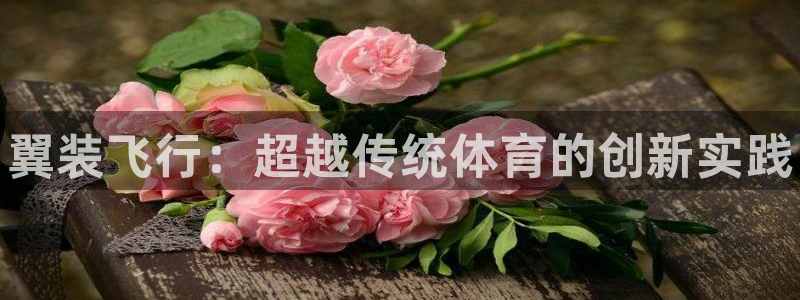3377体育在线登录官网入口