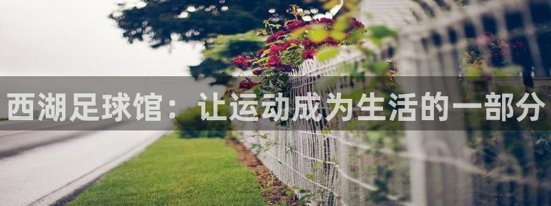 3377体育app官方下载