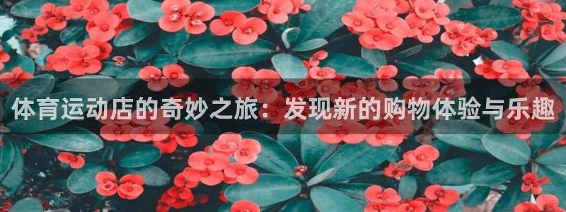 3377体育官网下载
