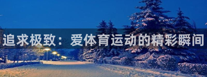 3377体育中国官方网站入口