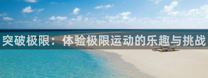 3377体育官网入口网页版