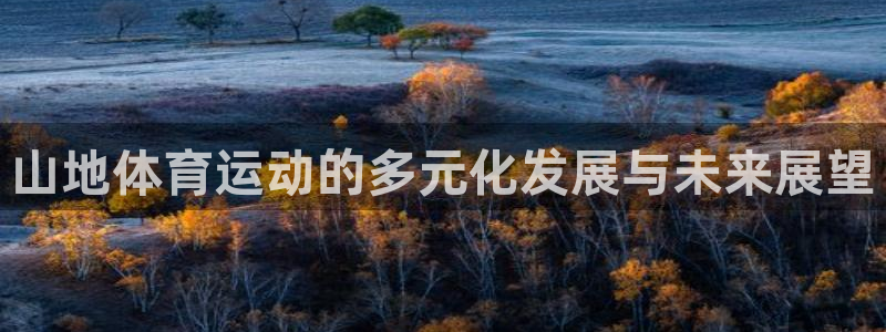 3377体育官网下载
