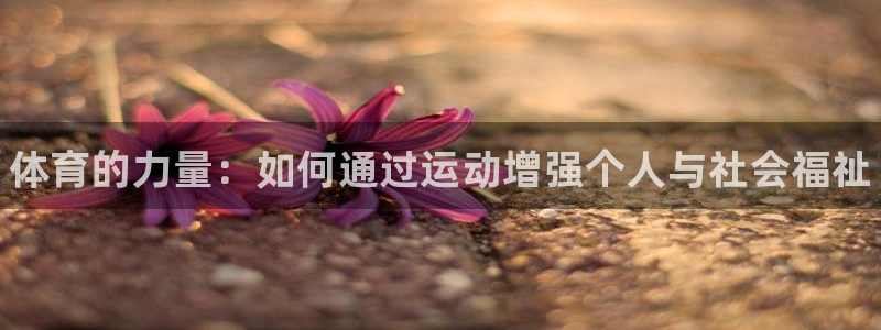 3377体育(中国)官方网站