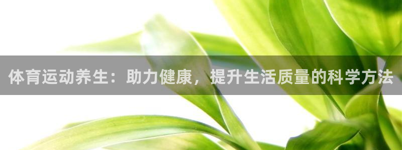 3377体育官网下载