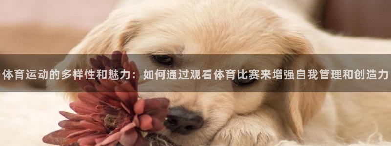 3377体育在线登录官网入口
