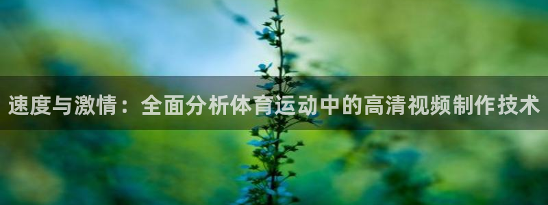 3377体育是正规的吗