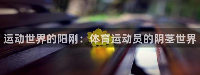 3377体育是正规的吗