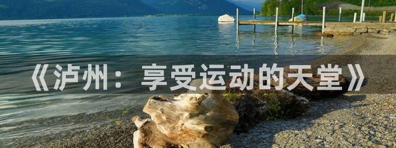 3377体育官网入口下载最新
