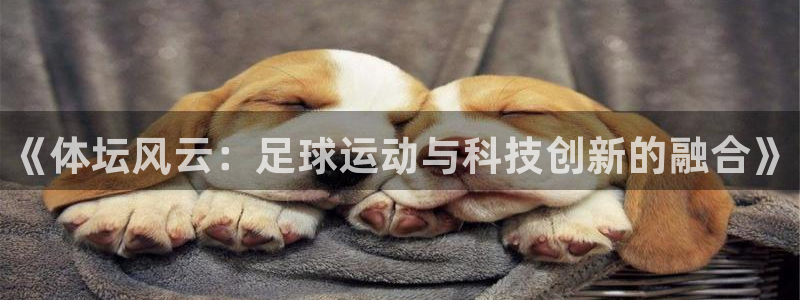 3377体育平台
